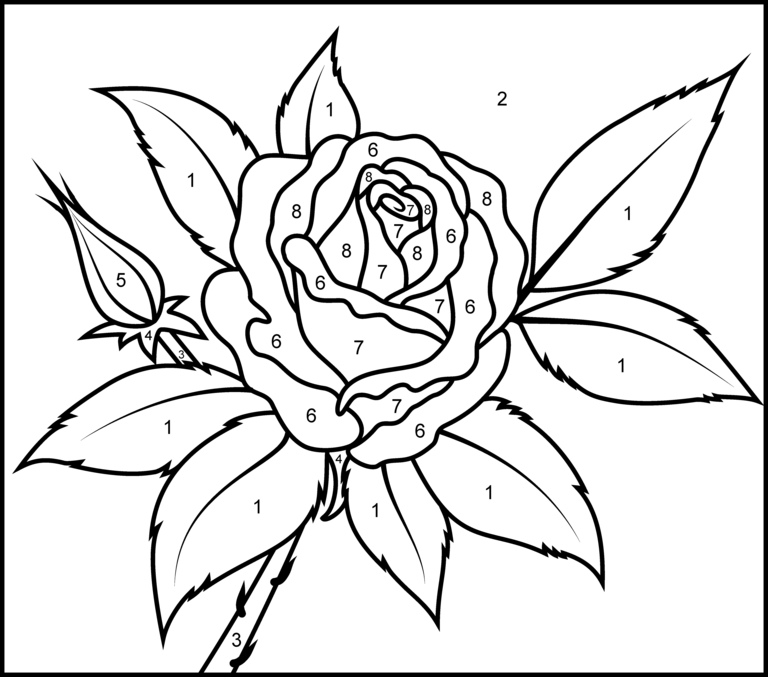 Rose - Printable Color by Number Page