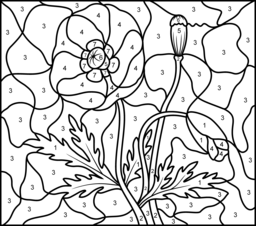 Poppy - Printable Color by Number Page - Hard