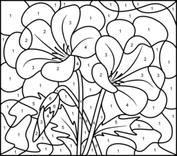 Campanula - Printable Color by Number Page - Hard